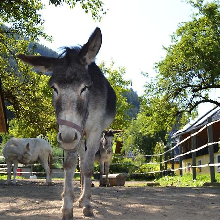 Ferienstadl - Hammerau Goestling an der Ybbs Luaran gambar