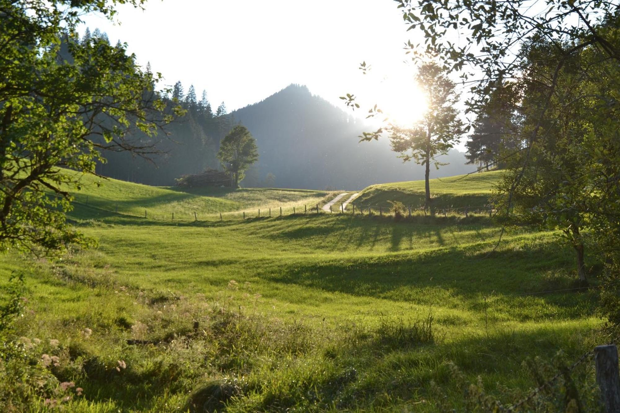 Ferienstadl - Hammerau Goestling an der Ybbs Luaran gambar