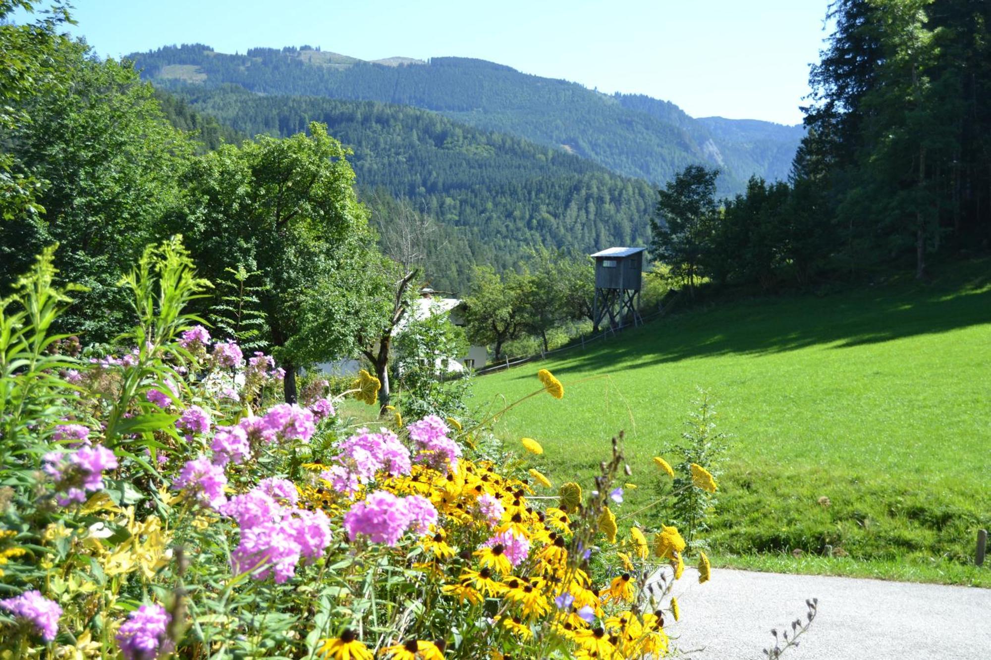 Ferienstadl - Hammerau Goestling an der Ybbs Luaran gambar